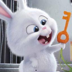 娱乐吃瓜小兔子小说,小兔子吃瓜记 第2张 娱乐吃瓜小兔子小说,小兔子吃瓜记 第2张